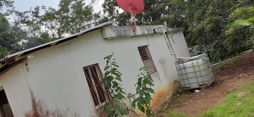 For Sale Finca Ganadera En Monte Plata Hatillo Acepto Permuta Del Cincuenta Porciento Recibo Bitcoin