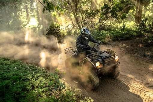 Imagen 12 de 14 de Cuatri Kawasaki Brute Force 300