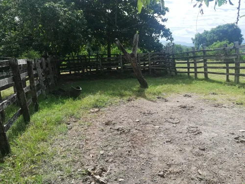 Finca Ganadera Con Nacimiento De Agua Propio