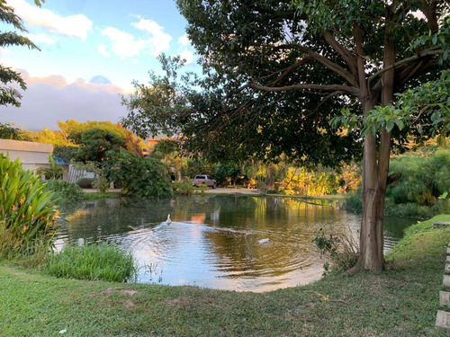 Imagen 12 de 14 de Finca En Venta En Aguirre