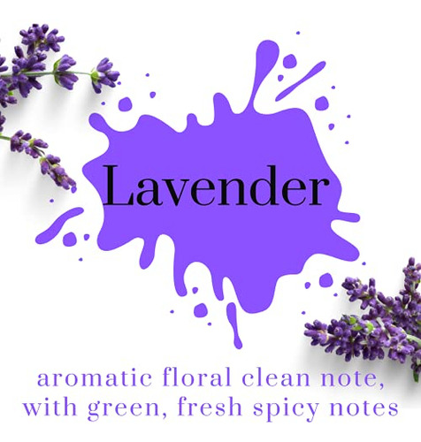 Difusor Aroma Lavanda Con Palos, Ambientador Incienso 100ml