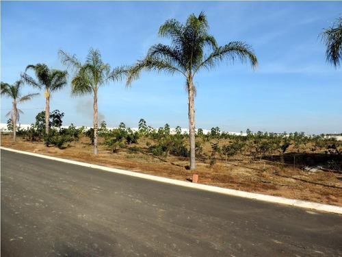 Imagem 24 de 30 de Terreno À Venda, 282 M² Por R$ 190.000,00 - Nossa Senhora Aparecida - Saltinho/sp - Te1182