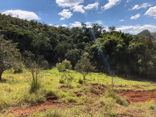 Imagem 4 de 14 de E18- Oportunidade ... Lotes De 2.500m2
