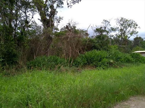 Imagem 8 de 8 de Terreno - Venda - Indaia - Itanhaem - Ita2701