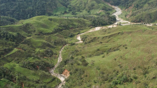 Venta De Finca Ganadera En San Roque, Antioquia 
