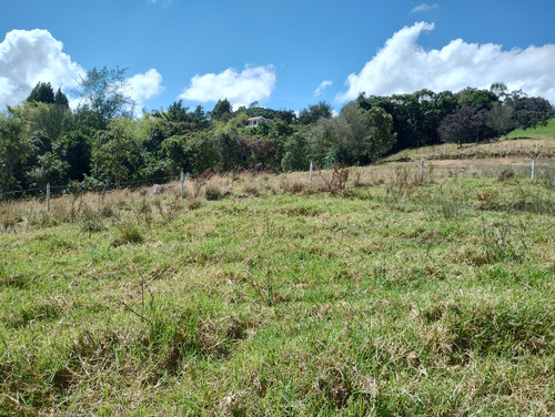 Venta De Lote En San Pedro De Los Milagros