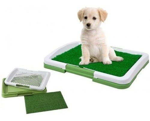Alfombra Sanitaria Para Perros. Pasto Sintético 40x68 Envio!
