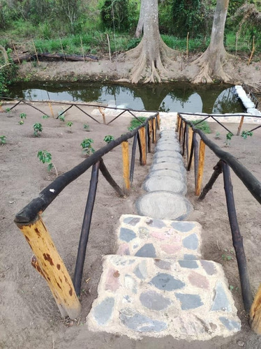 Finca En Bejuma Camino Verde