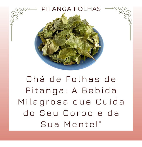 3 Pacotes Chá Folhas Pitanga | Verdadeira Pitangueira