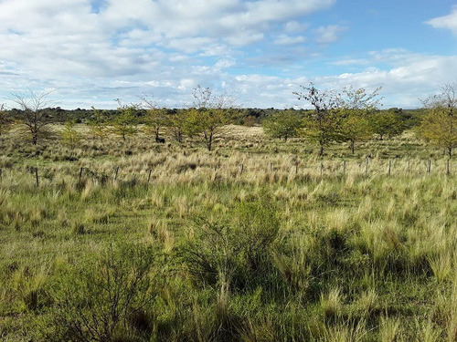 Campo Ganadero 610 Ha, Traslasierra, A Pocos Km De Cura Brochero Con Casa Empleados. U$s 1.312/ha
