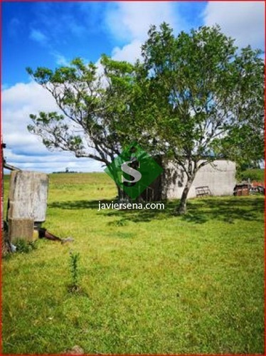 Venta De Campo En Treita Y Tres, 70 Hectareas Con Casa. - Ref: 168050