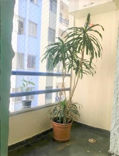 Imagem 2 de 29 de Apto Na Penha Com 2 Dorms, 1 Vaga, 54m² - Ap14114