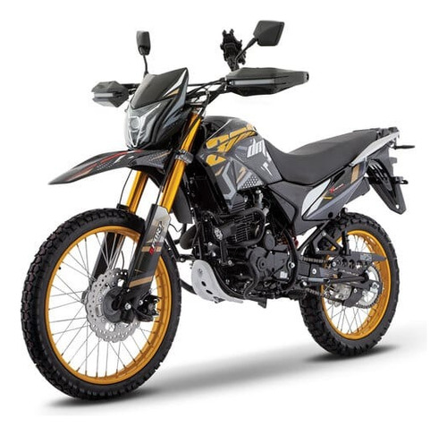 Motocicleta Italika Dm300