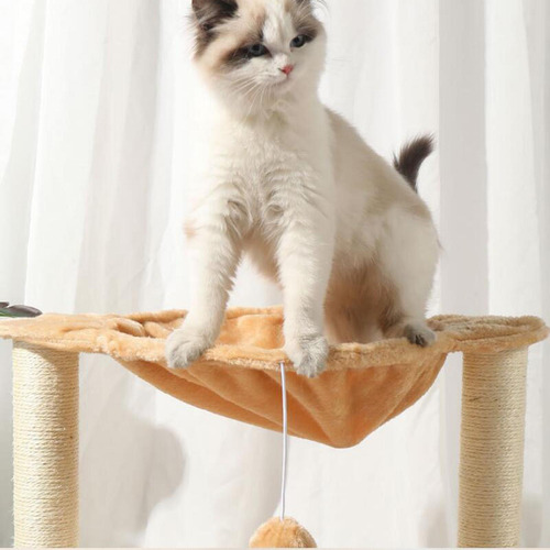Poste Arranhador Para Gato Interativo Bola De Brinquedo Para