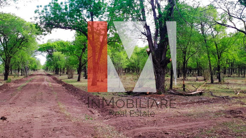 Venta Lote En Calamuchita, Vista Al Lago San Javier