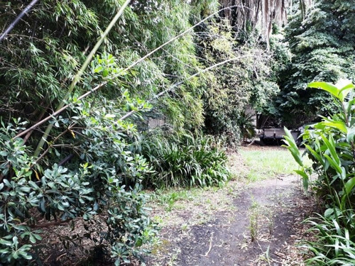 Imagen 4 de 6 de Terreno En Venta En Muñiz