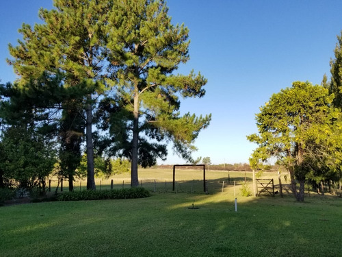 Gran Casco Con Vivienda De 5 Dormitorios 3 Baños, Pileta , 34 Hectareas,