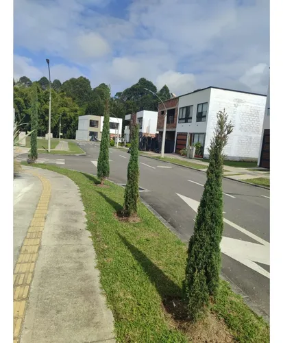 Lote En Venta Llanogrande, Rionegro