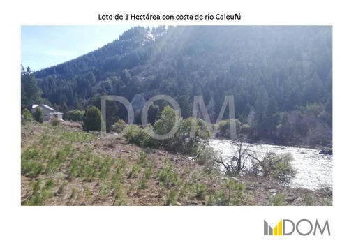 Imagen 5 de 13 de Impresionante Lote De 1ha Con Costa De Río