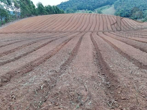 Imagem 14 de 15 de Cód 4204- Excelente Terreno Em Ibiúna. - 4204