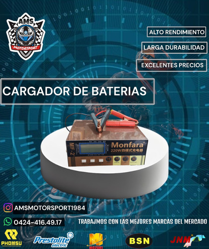 Cargador De Bateria 