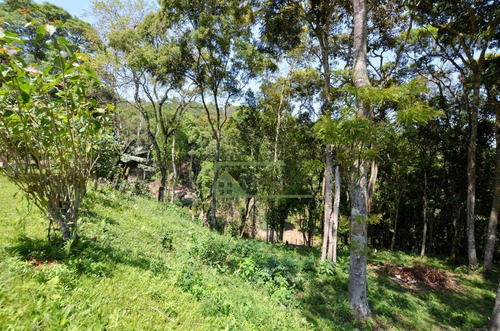 Imagem 17 de 20 de Chácara Com 3 Dormitórios À Venda, 10000 M² Por R$ 500.000 - Altos De Caucaia Sp - Ch0142