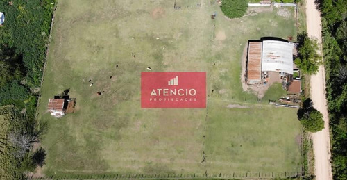 Imagen 7 de 30 de Molino Doll - Casa De Campo Sobre Ruta, Con 5 Habitaciones, 9.000 M2 De Terreno Y Mejoras Varias