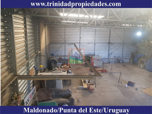 Imagen 7 de 13 de Local, Depósito Para Logística Maldonado