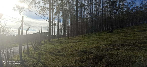 Imagem 2 de 14 de 16- Lotes Na Cidade De Arujá