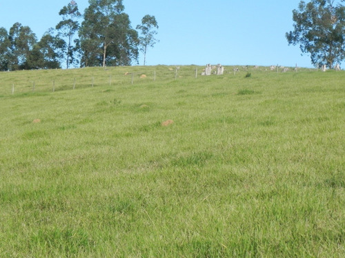 Imagem 2 de 3 de Promoção Imperdivel ( Nazaré Paulista) Vendo Lote De 500m2