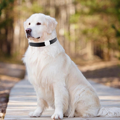 Collar De Seguimiento De Mascotas Dispositivo Antipérdida In