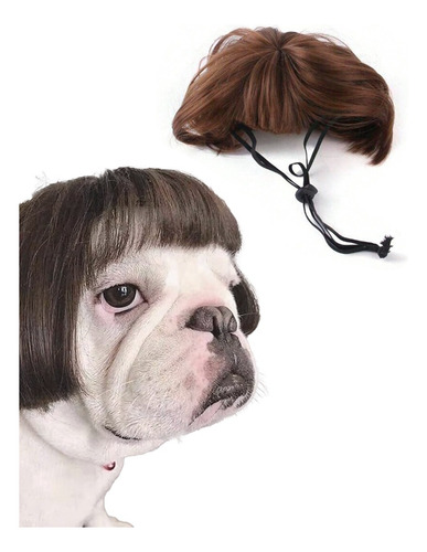 Peruca Do Beiçola Estilo Divertido Pra Pets Fofos Marrom-escuro