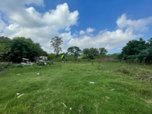 8000 Metros De Terreno. A Metros De Luis Batlle Berres