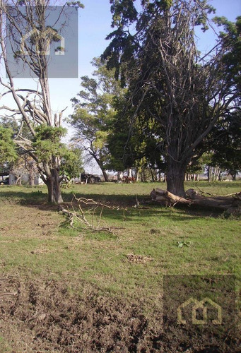 Imagen 9 de 15 de Campo Premium Para Country - Barrio Privado