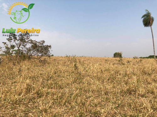 Imagem 2 de 10 de Fazenda À Venda Em Conceição Do Araguaia-pa-1.694 Hectares (dupla Aptidão) - 2028