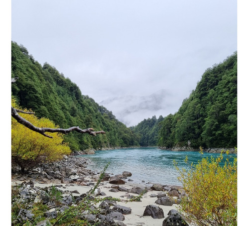 En Venta Lindo Campo Con 600 Mts De Orilla Río Puelo