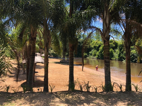 Imagen 5 de 8 de Oportunidad Oferta Lote 47 Palmares Del Delta