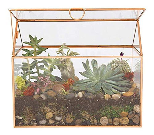 Terrario De Cristal Deco, Suculento