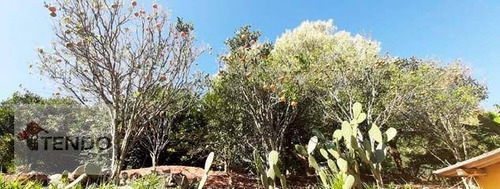 Chácara Com 6 Dormitórios À Venda, 6000 M² Por R$ 530.000 - Cocuera - Mogi Das Cruzes/sp - Ch0036