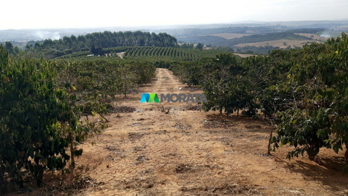 Imagem 5 de 12 de Fazenda - Zona Rural - Ref: 5175 - V-mta5175