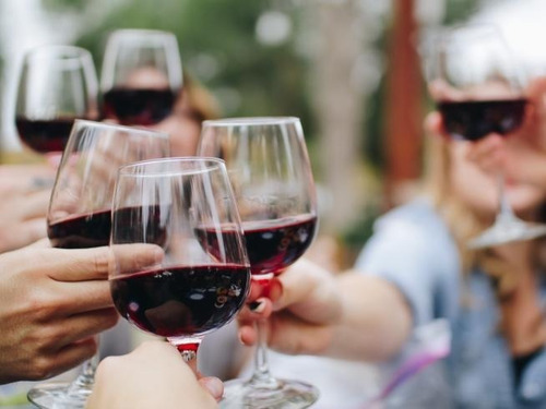Vino Tinto Cava De Ana Cabernet Sauvignon 750 Ml