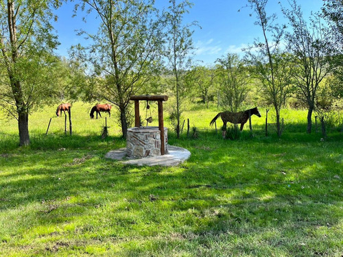 Venta Casa En Cabalango Con 5000m De Lote Y Pileta