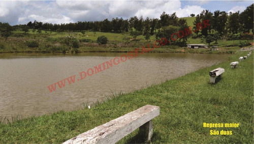 Imagem 20 de 20 de Venda - Estabelecimento Comercial - Zona Rural - Juiz De Fora - Mg - D0109