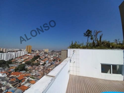 Imagem 13 de 15 de Apartamento Para Venda, 3 Dormitórios, Vila Butantã - São Paulo - 13264