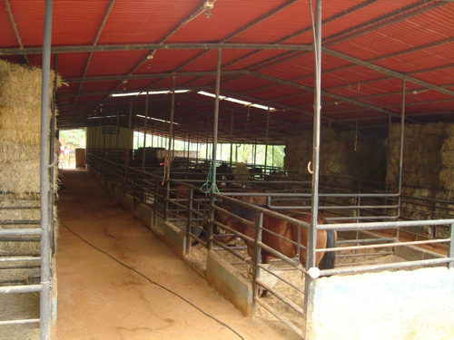 Imagen 3 de 12 de Finca Venta Corralito Riv#6143