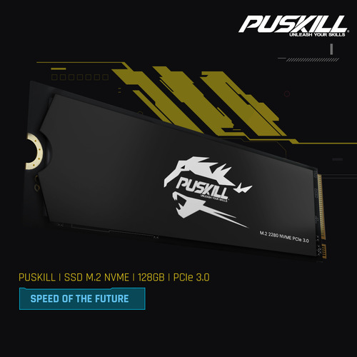 Hd Ssd M.2 2280 PUSKILL 128gb NVMe PCIe 3.0x4 Psk-m2ssdp34-128g