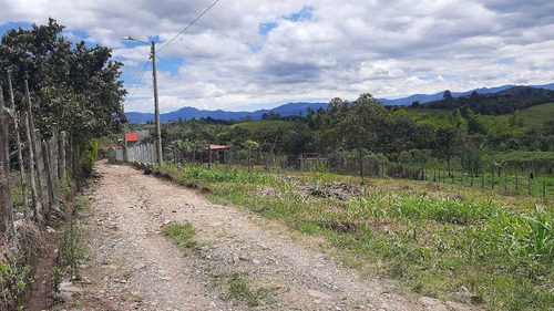 Imagen 10 de 15 de Venta Lote Esquinero -620 Mts2 - Julumito Popayan