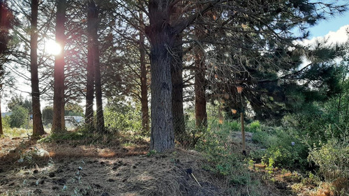 Imagen 14 de 28 de Terreno - Dina Huapi. 1.109 M2 En Esquina Con Gran Frente, Cecado, Plano Y Arbolado