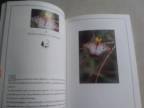 Mariposas De Caracas (Usado)