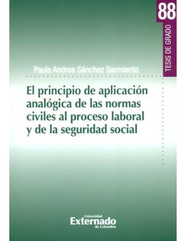 Libro Principio De Aplicacion Analogica De Las Normas Civil